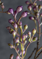 Abigail Ahern Purple Artificial Berry Branch - 43.25"
