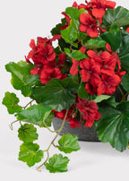 UV Treated Indoor/Outdoor Fake Geranium Hanging Bush - 24"