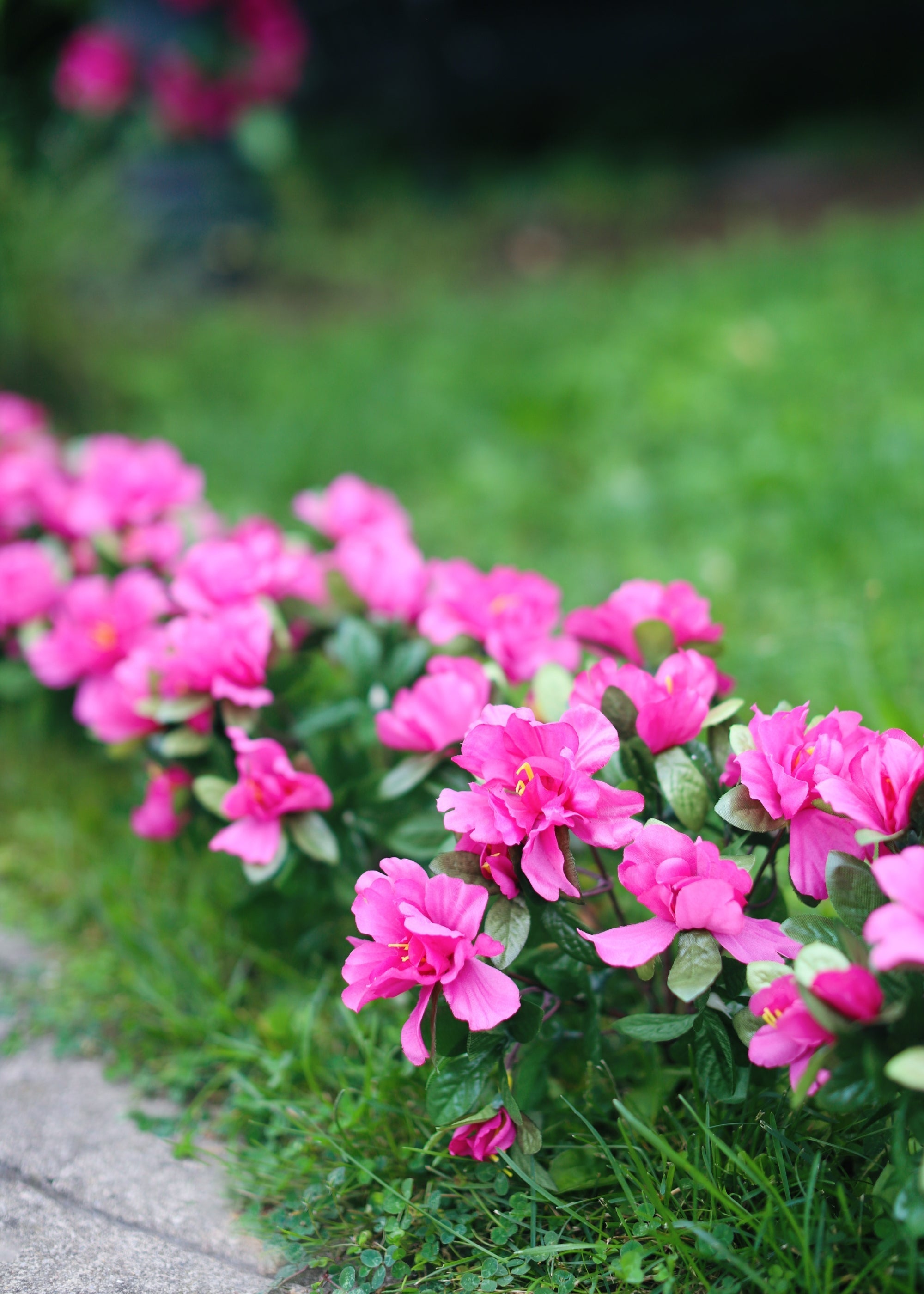 Artificial Azalea Flower Bush in Fuchsia - 13"