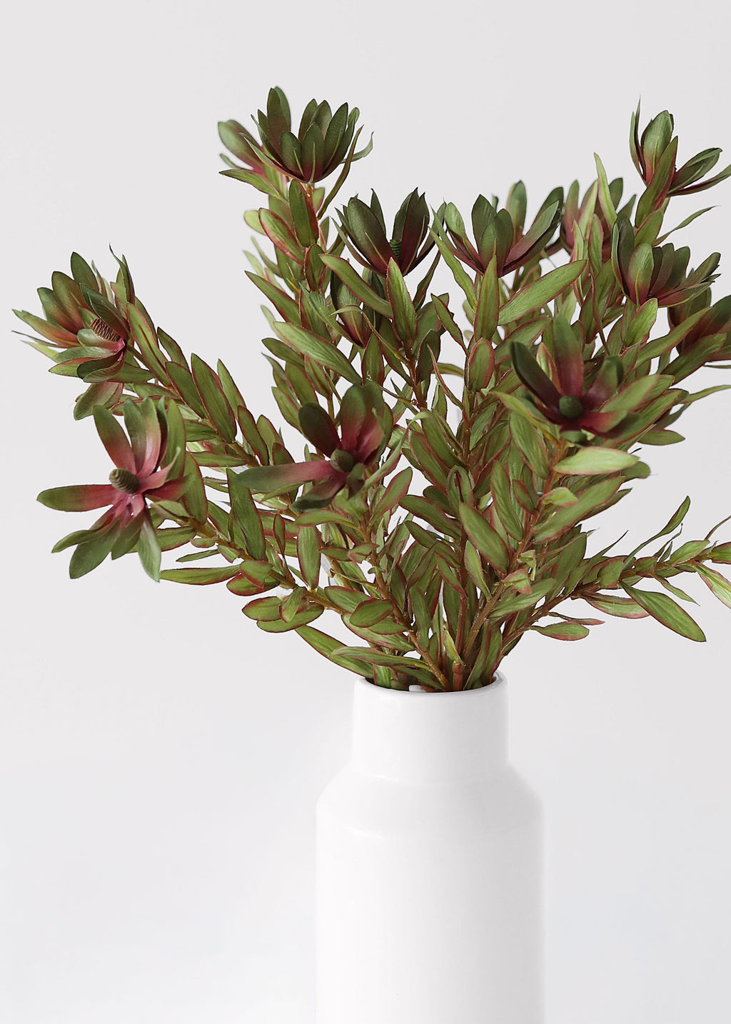 Green Artificial Wild Protea Foliage - 26.25"