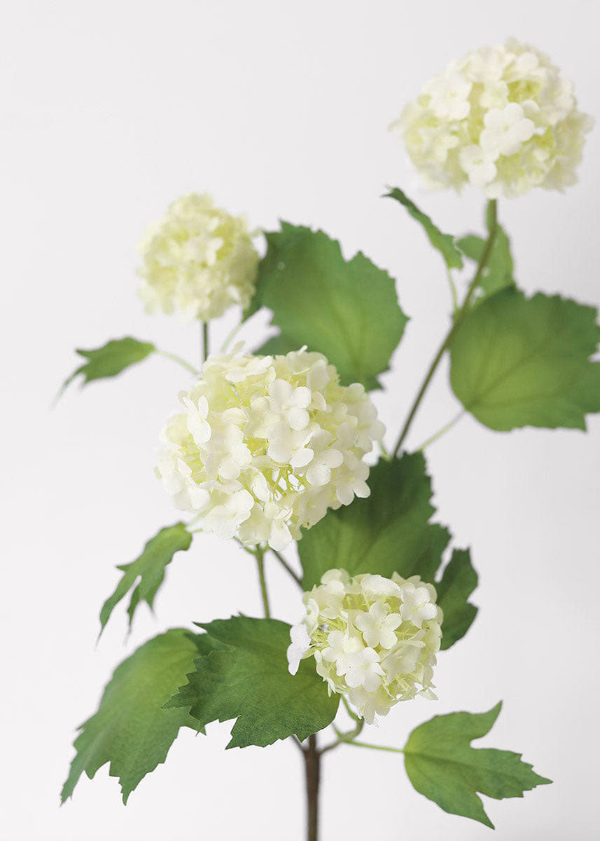 SAVE - Cream White Artificial Snowball Flowers - 24"