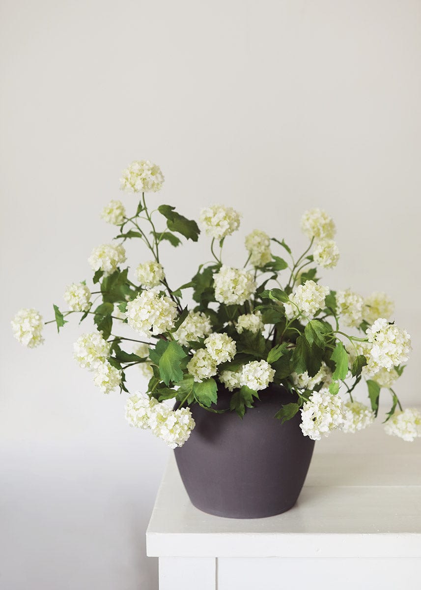 SAVE - Cream White Artificial Snowball Flowers - 24"