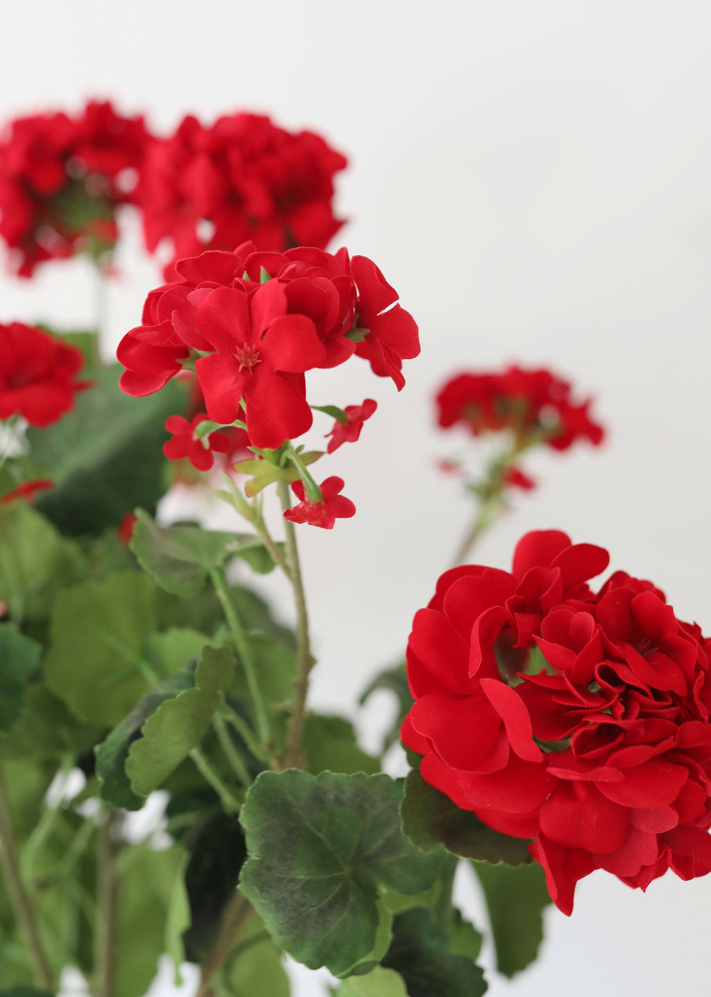 Fake Indoor/Outdoor Red Geranium Water Resistant Bush - 24"