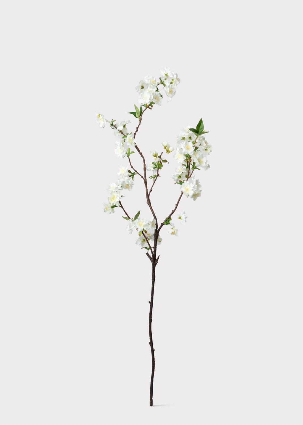 Cream White Artificial Cherry Blossom Branch - 36"