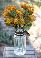 Rust Orange Artificial Pincushion Protea Tropical Flower - 28"