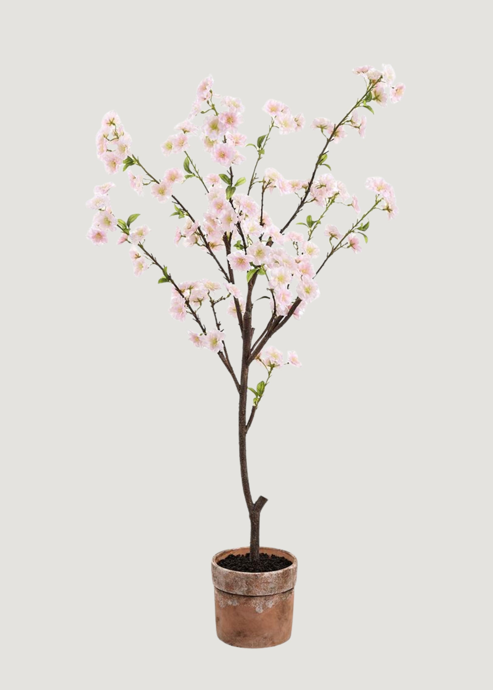 Blush Artificial Cherry Blossom Arrangement in Clay Pot - 49"