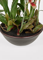 Faux Potted Orchid Arrangement in Clay Bowl - 28"