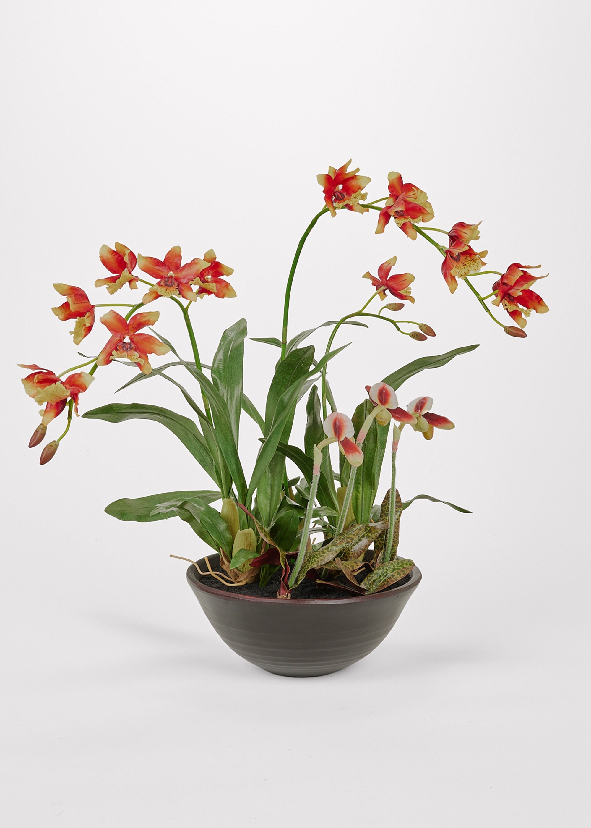 Faux Potted Orchid Arrangement in Clay Bowl - 28"