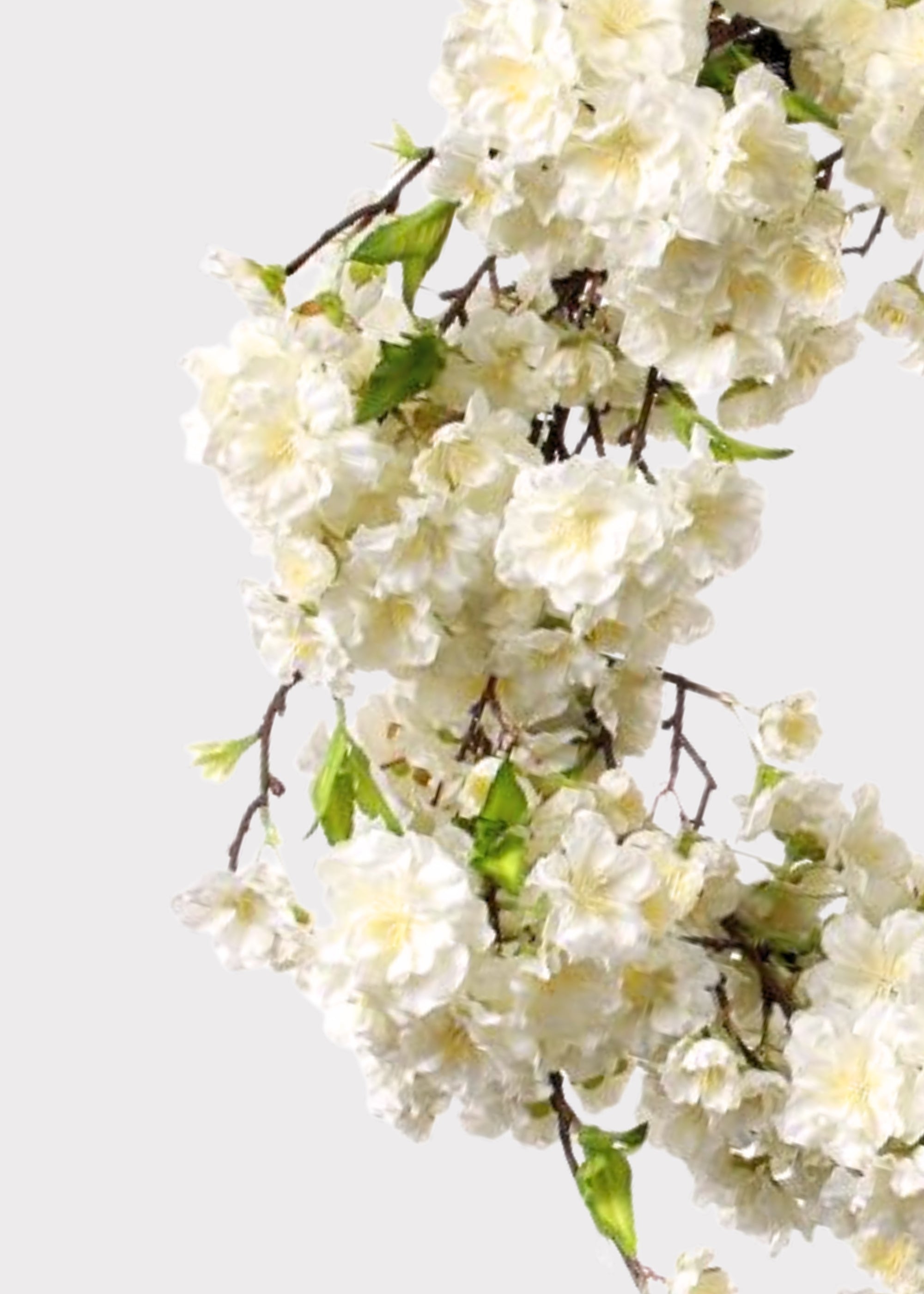 Deluxe Cream Artificial Cherry Blossom Flower Wreath - 20"