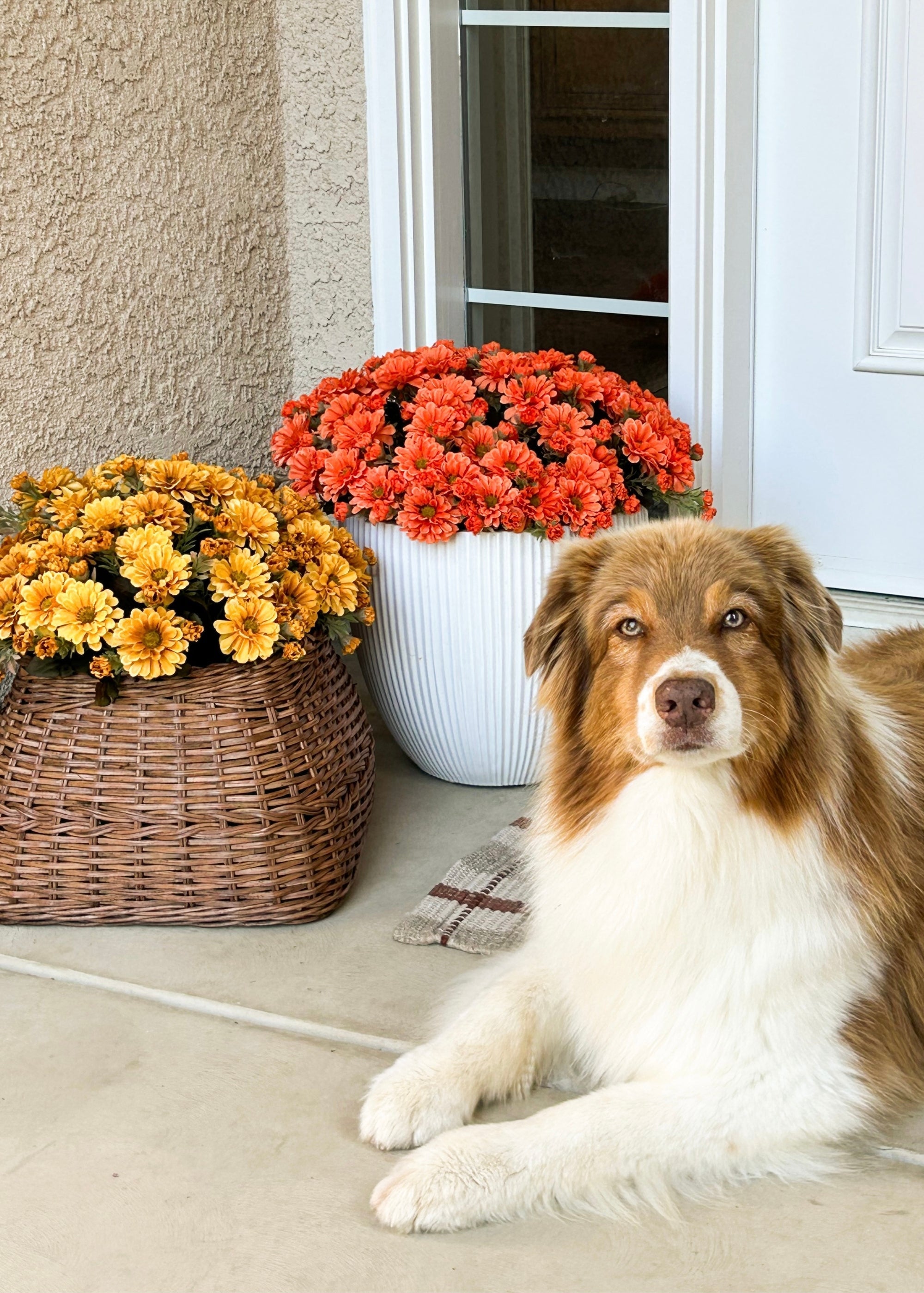 Golden Yellow Artificial Fall Mum Flower Bush - 15"