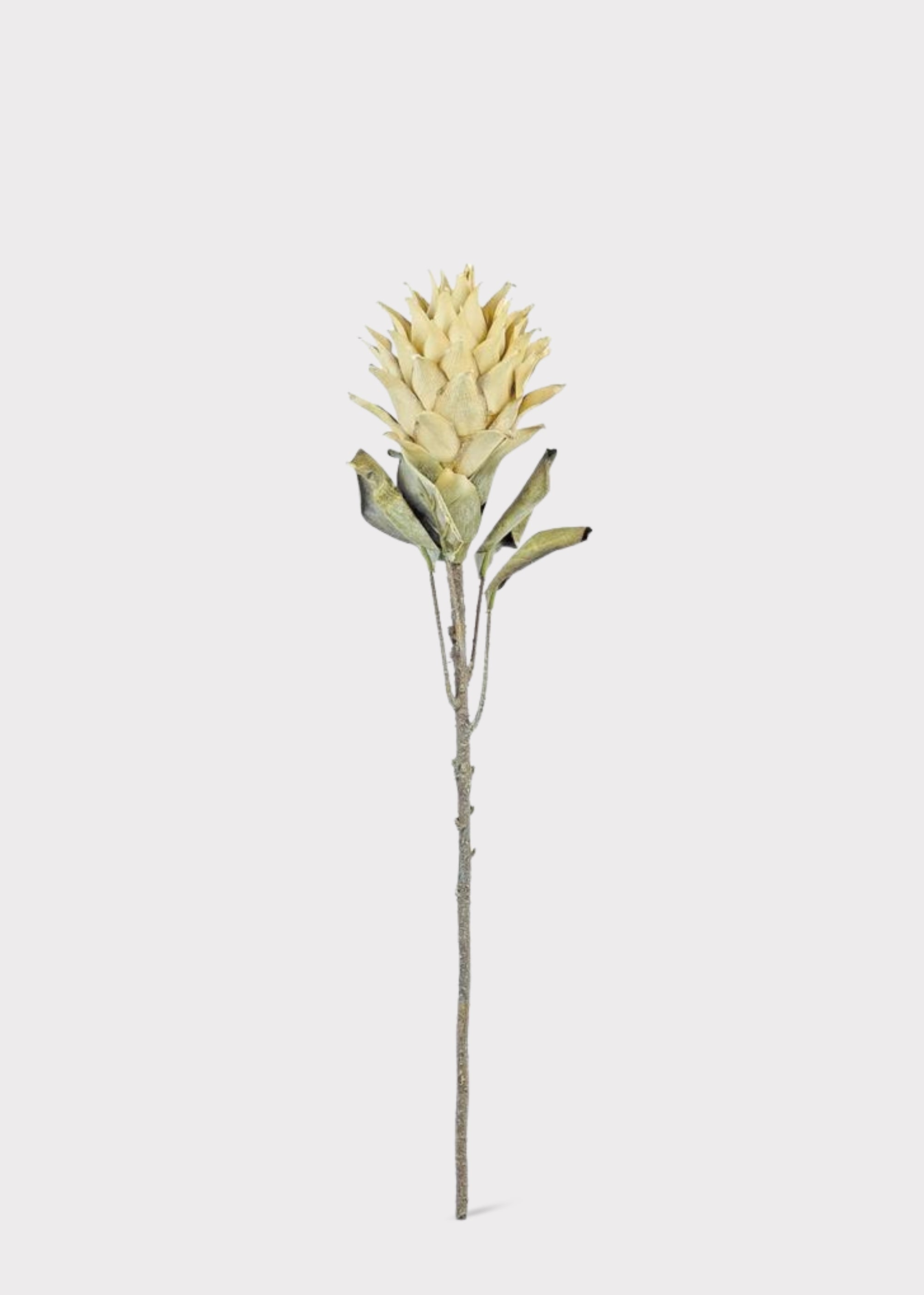Artificial Protea Tropical Flower Stem in Parchment - 30"
