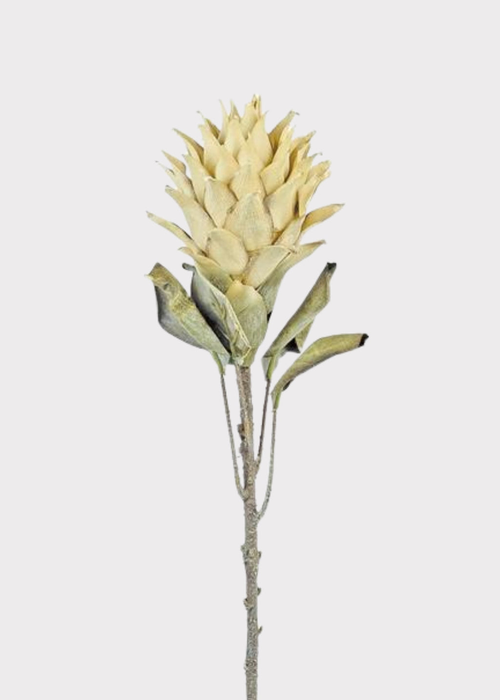 Artificial Protea Tropical Flower Stem in Parchment - 30"