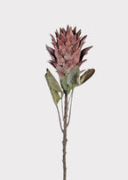 Fake Protea Tropical Flower Stem in Earthy Fall Wine Hue - 30"