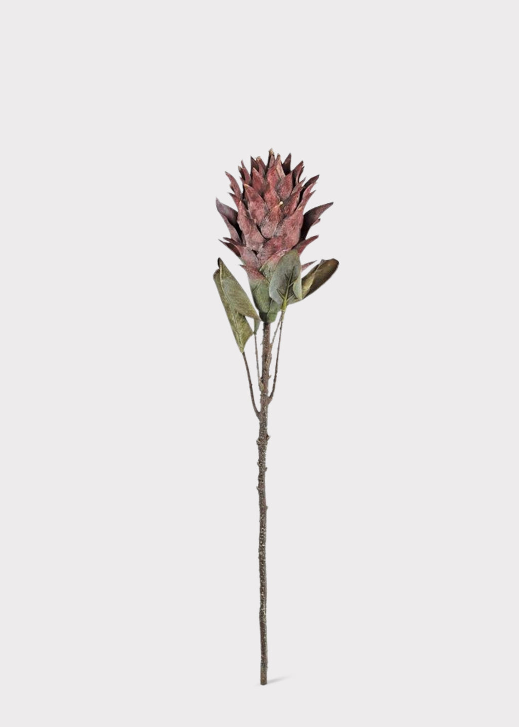 Fake Protea Tropical Flower Stem in Earthy Fall Wine Hue - 30"