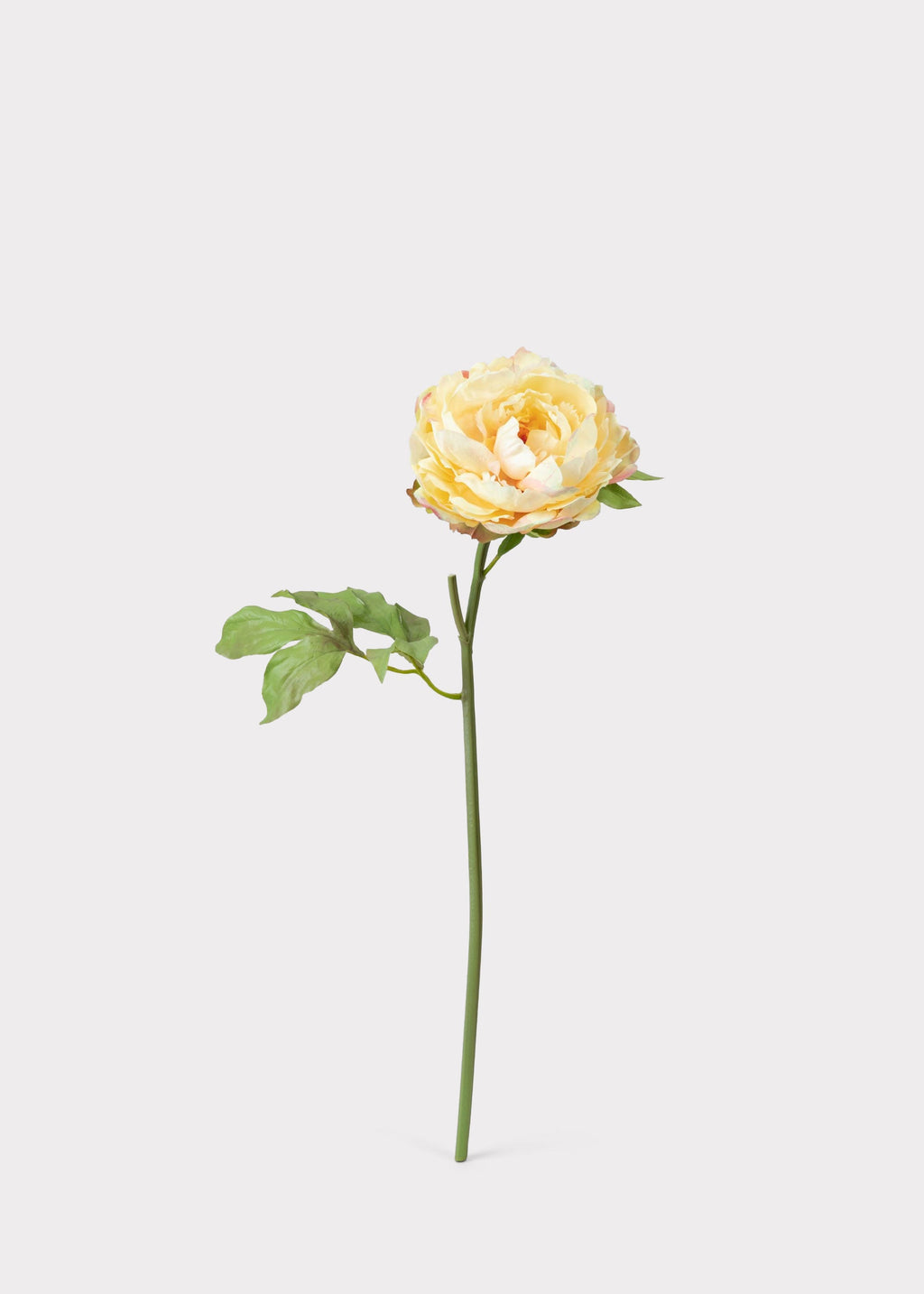 Real Touch Peony in Pale Yellow - 20"