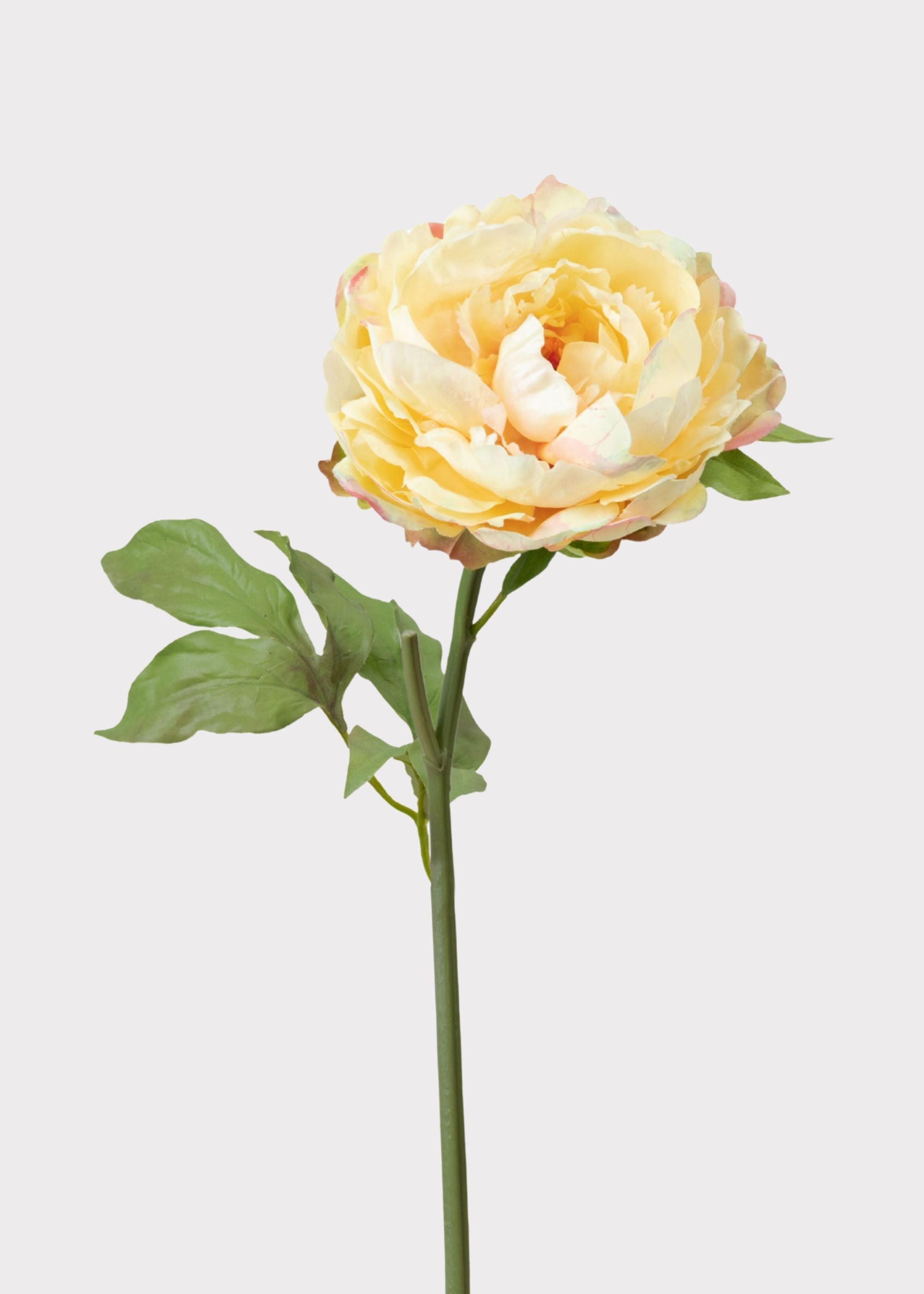 Real Touch Peony in Pale Yellow - 20"