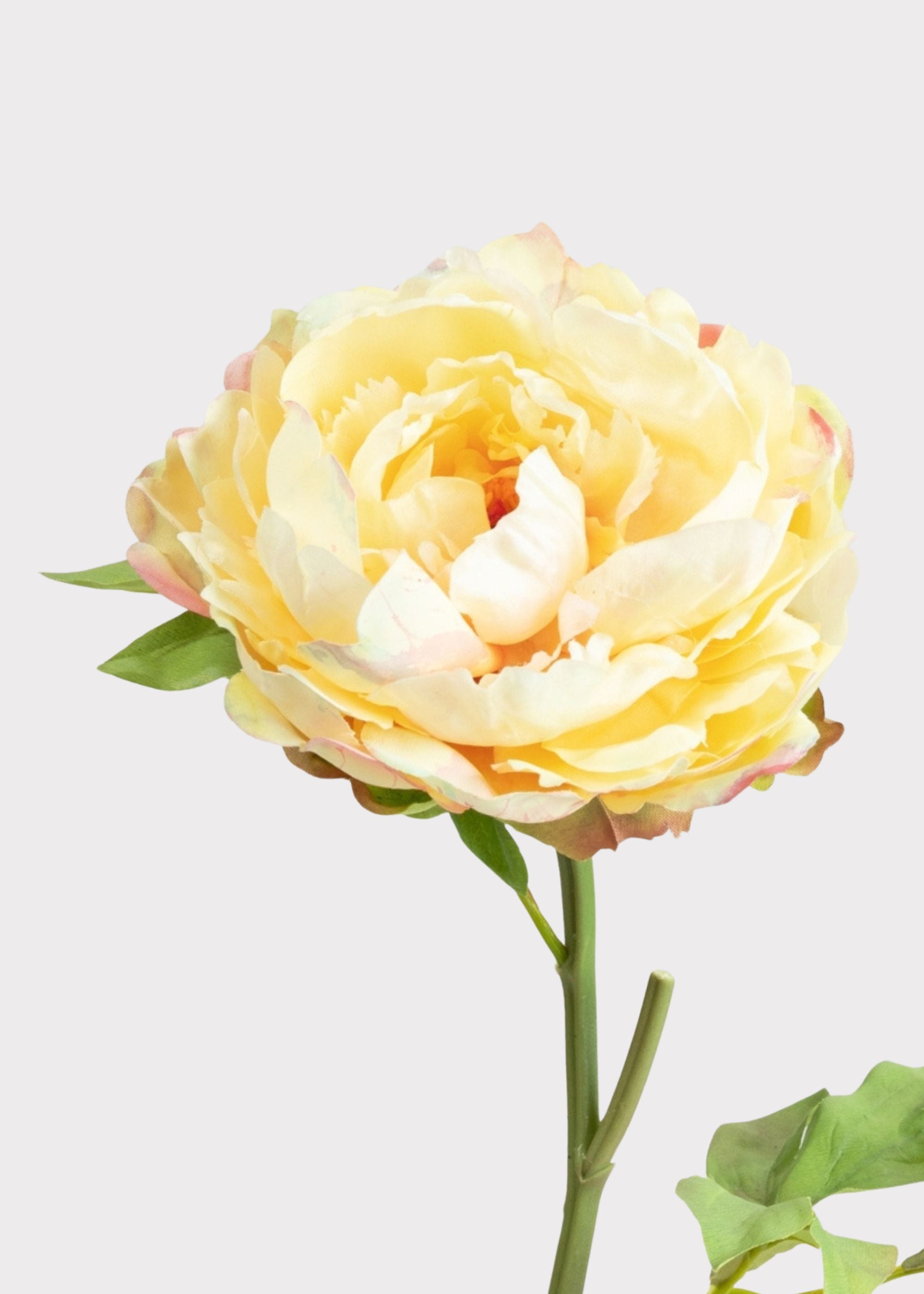 Real Touch Peony in Pale Yellow - 20"