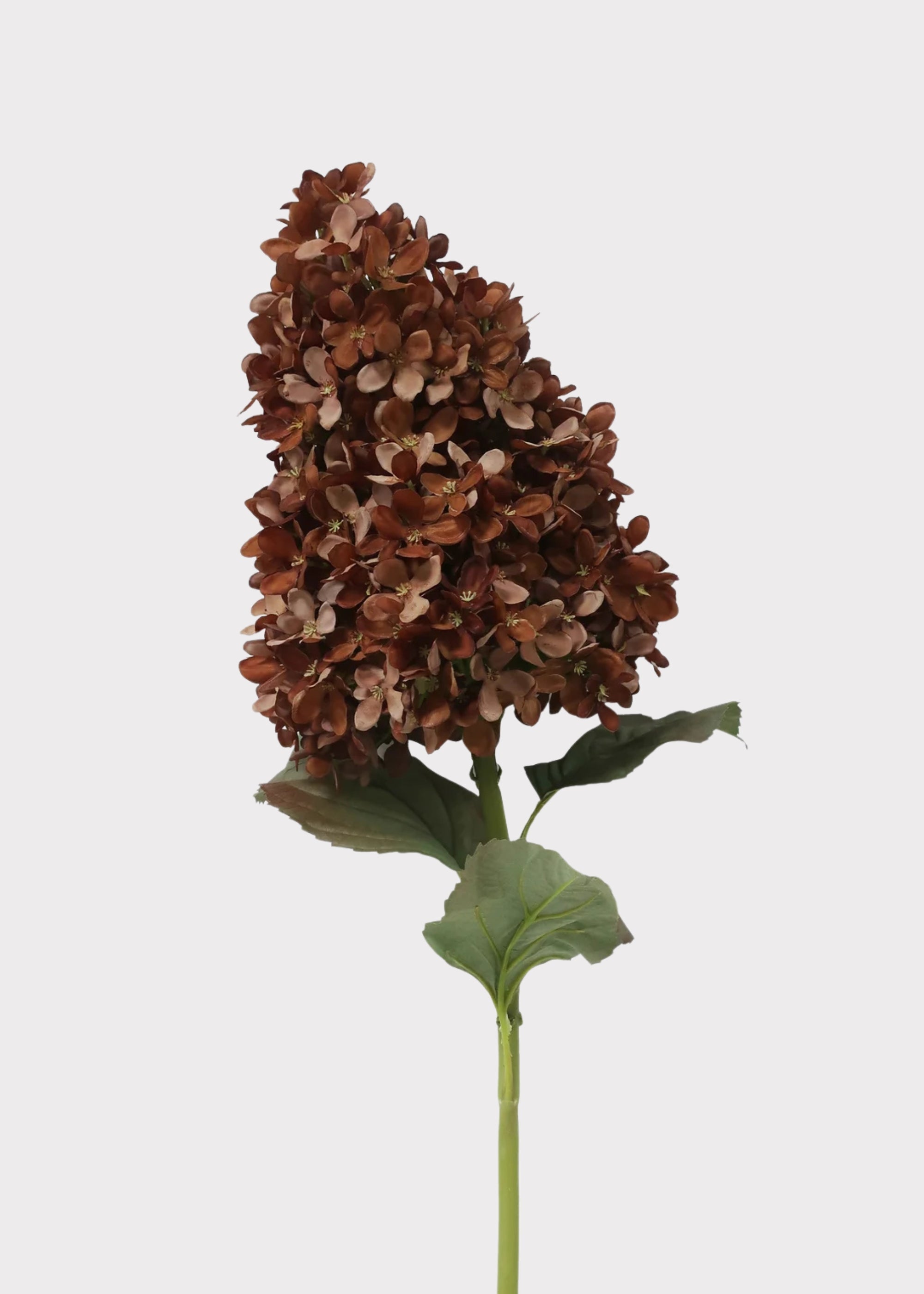 Fake Flowers Dried Look Hydrangea in Brown - 23"