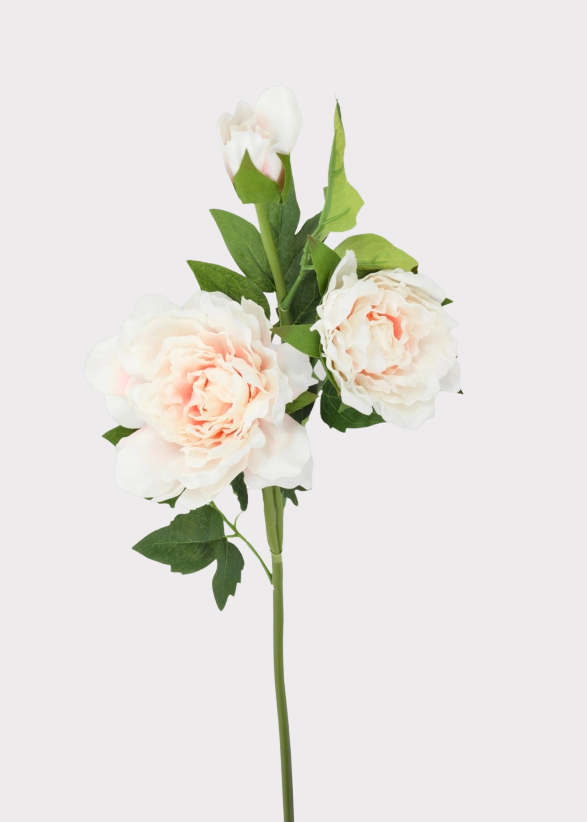 Real Touch Peony Flowers in Soft Pink - 26"
