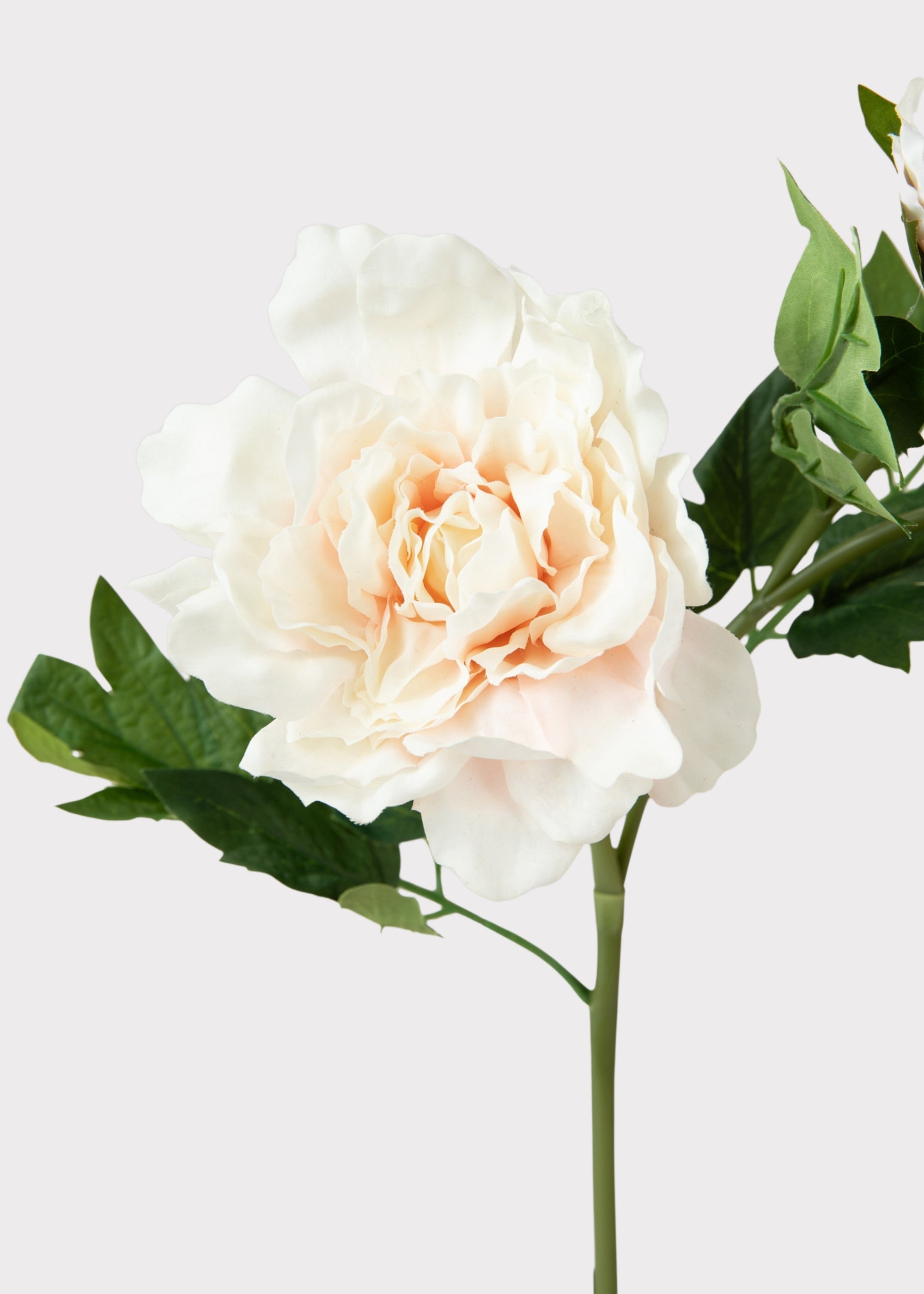 Real Touch Peony Flowers in Soft Pink - 26"
