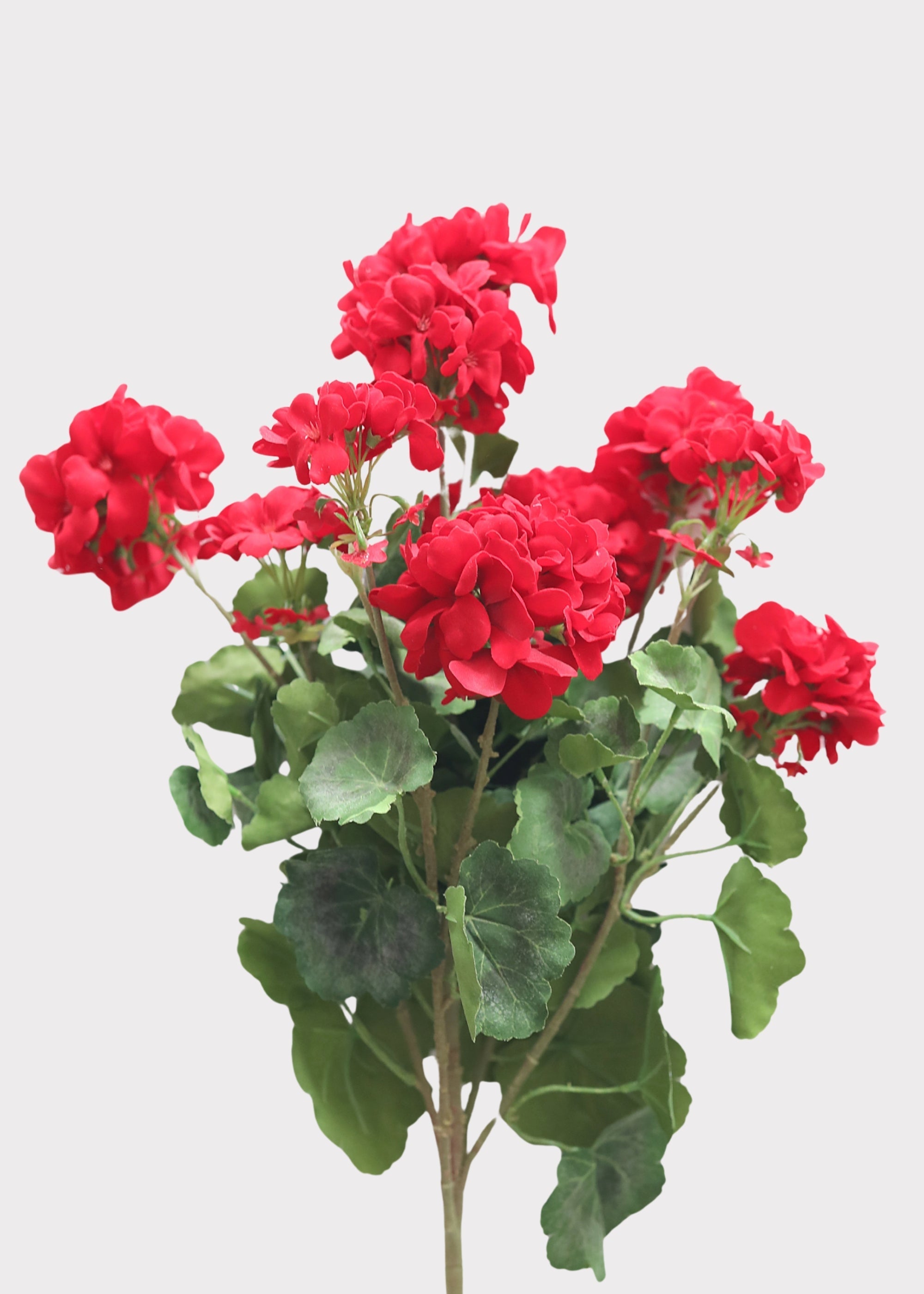 Fake Indoor/Outdoor Red Geranium Water Resistant Bush - 24"