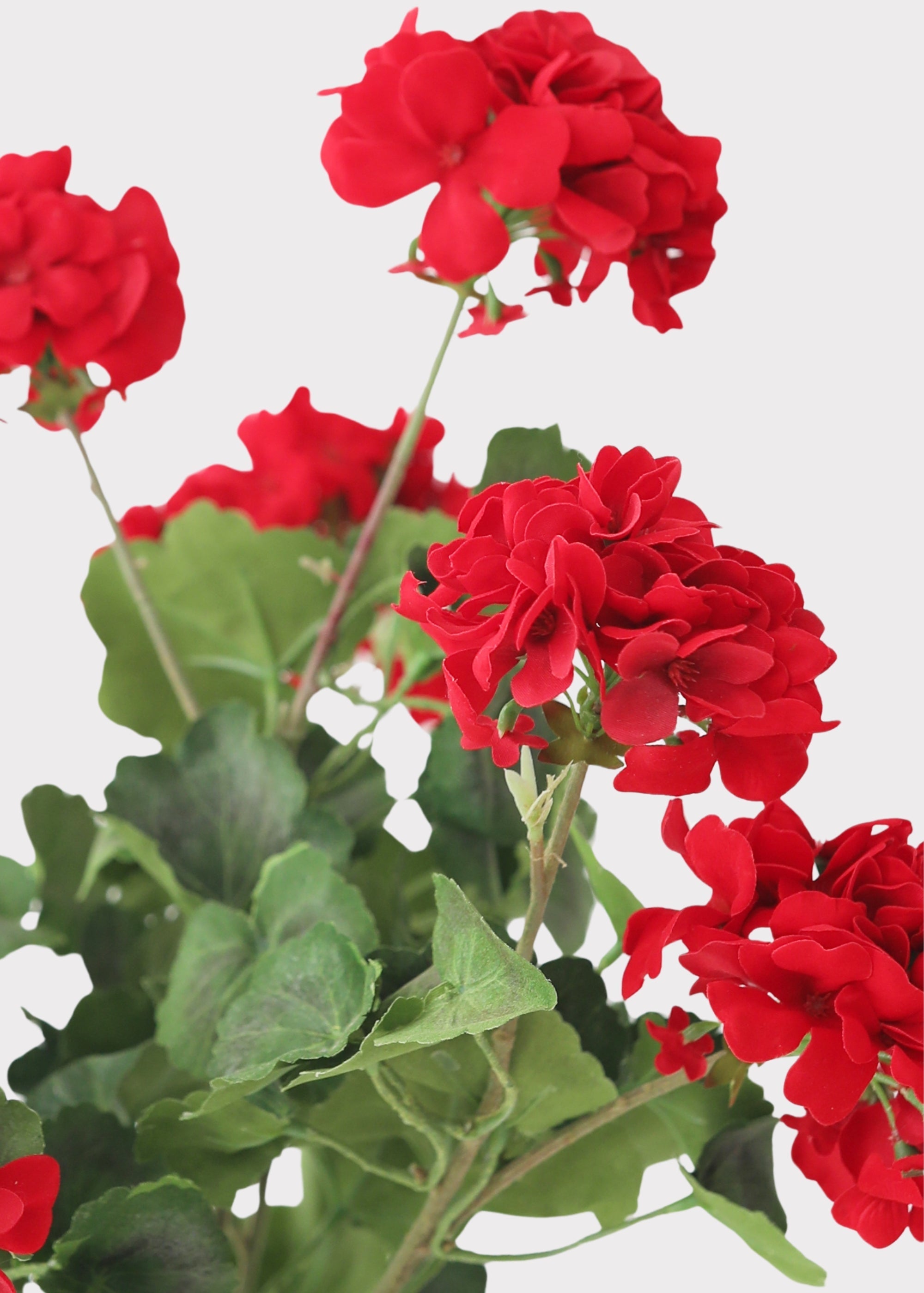 Fake Indoor/Outdoor Red Geranium Water Resistant Bush - 24"