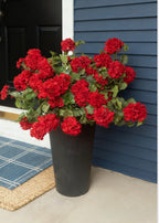 Fake Indoor/Outdoor Red Geranium Water Resistant Bush - 24"