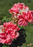 Fake Geranium Indoor/Outdoor Water Resistant Bush in Pink - 19"