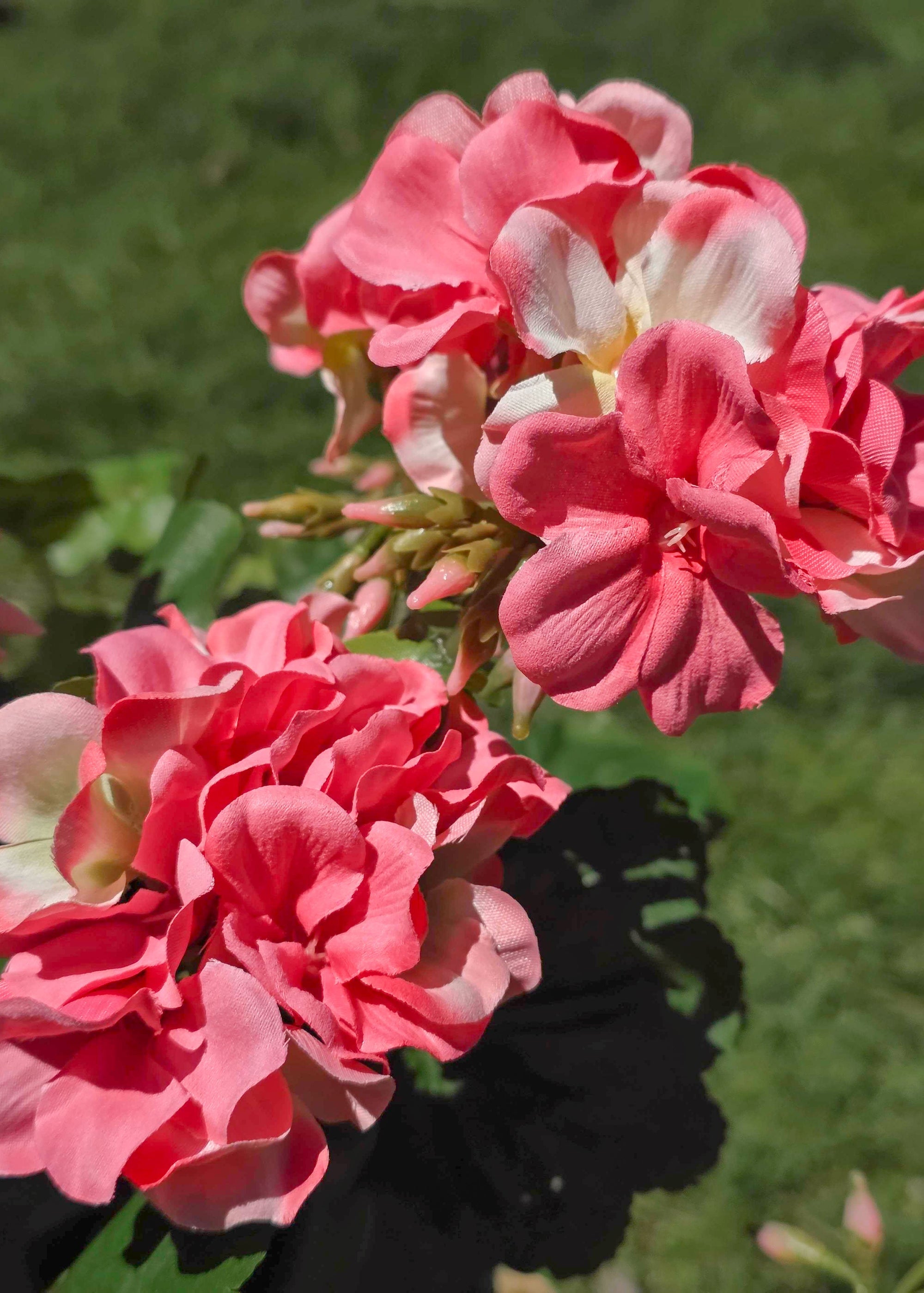 Fake Geranium Indoor/Outdoor Water Resistant Bush in Pink - 19"