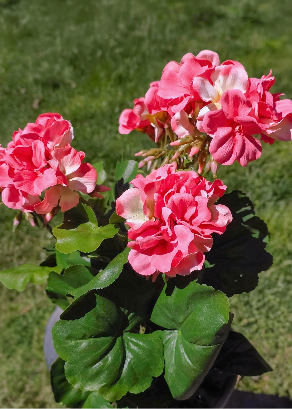 Fake Geranium Indoor/Outdoor Water Resistant Bush in Pink - 19"