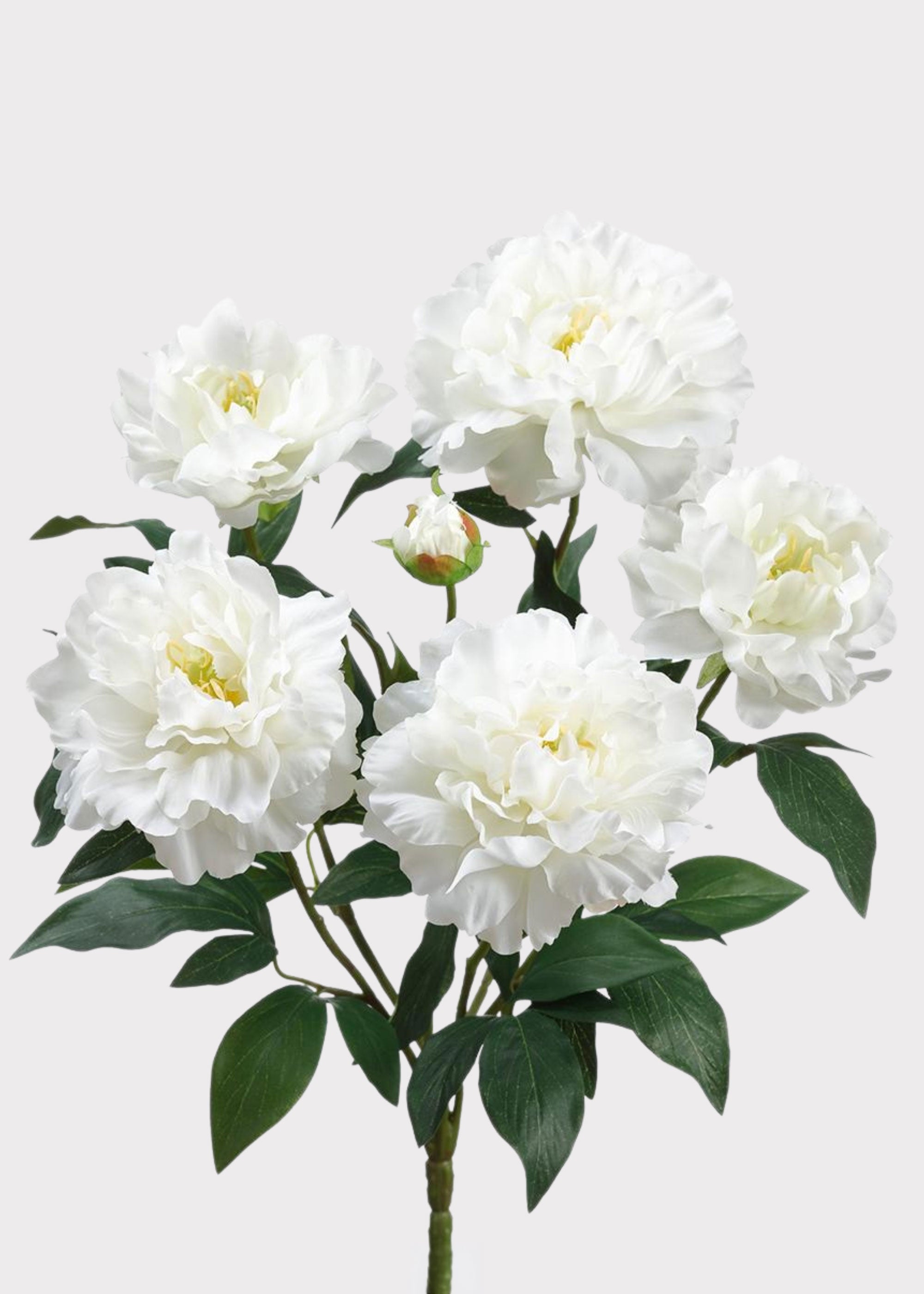 Artificial Peony Flower Bush in White - 18"