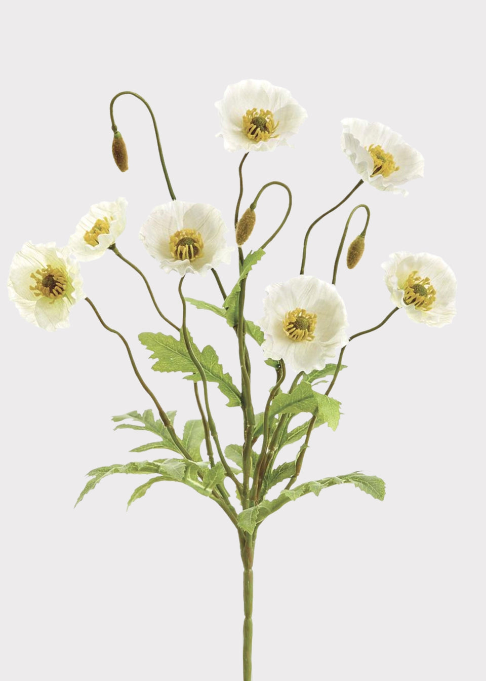 Cream Poppy Blooming Fake Flower Bush - 15"