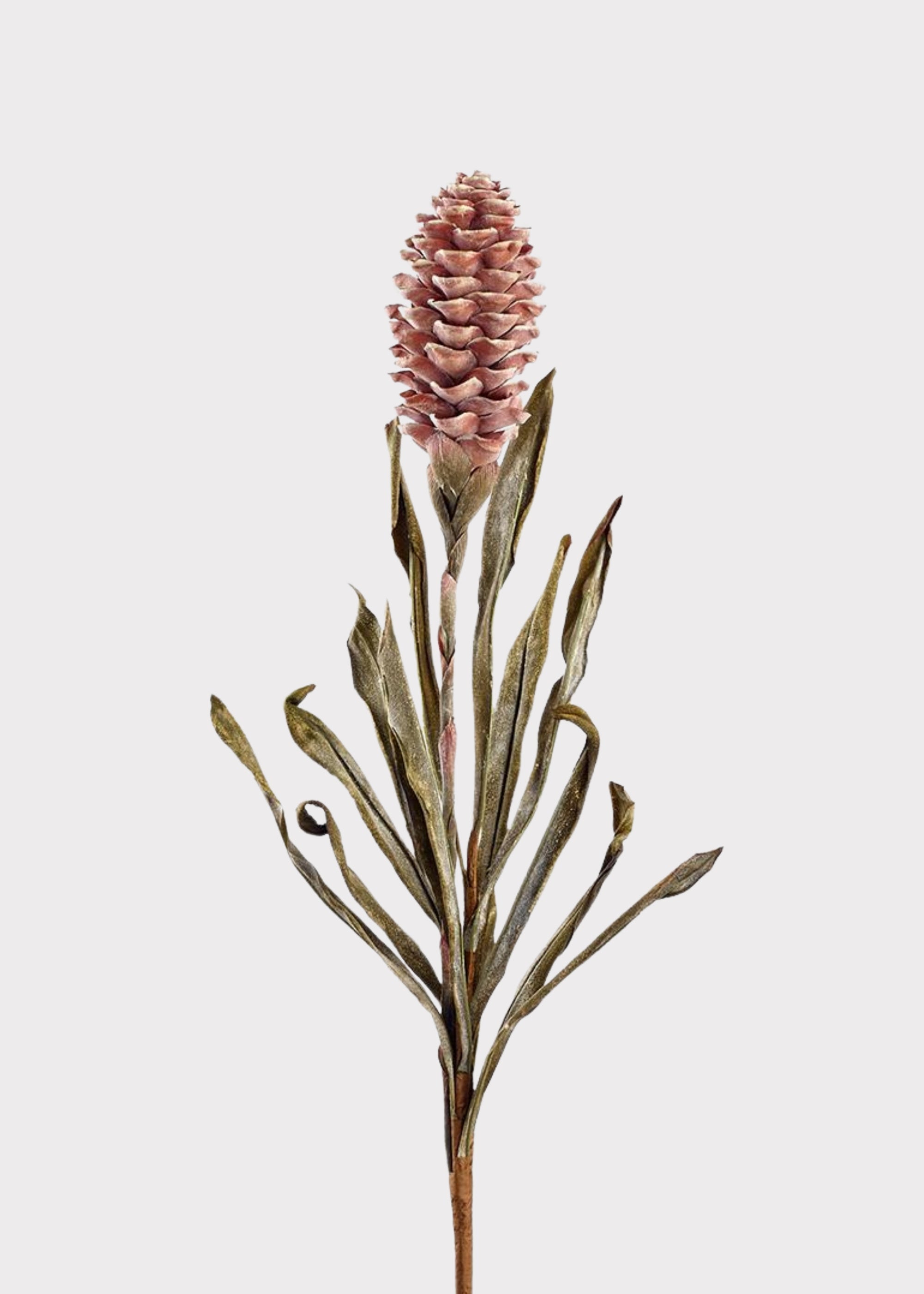 Dried Look Tropical Ginger Fake Flower in Earthy Brown - 33.5"