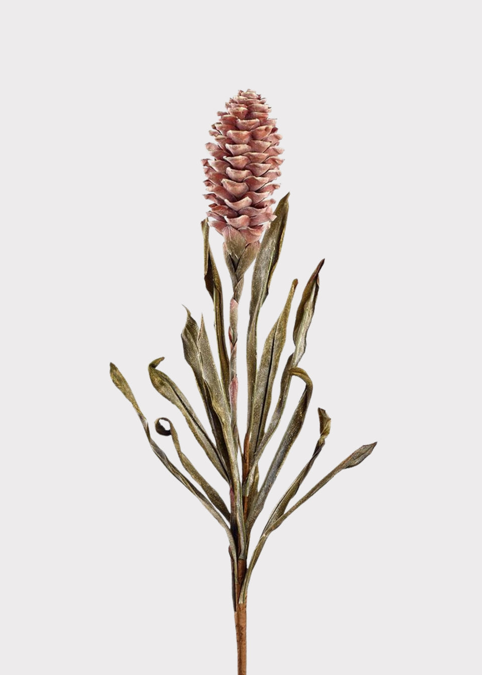 Dried Look Tropical Ginger Fake Flower in Earthy Brown - 33.5"
