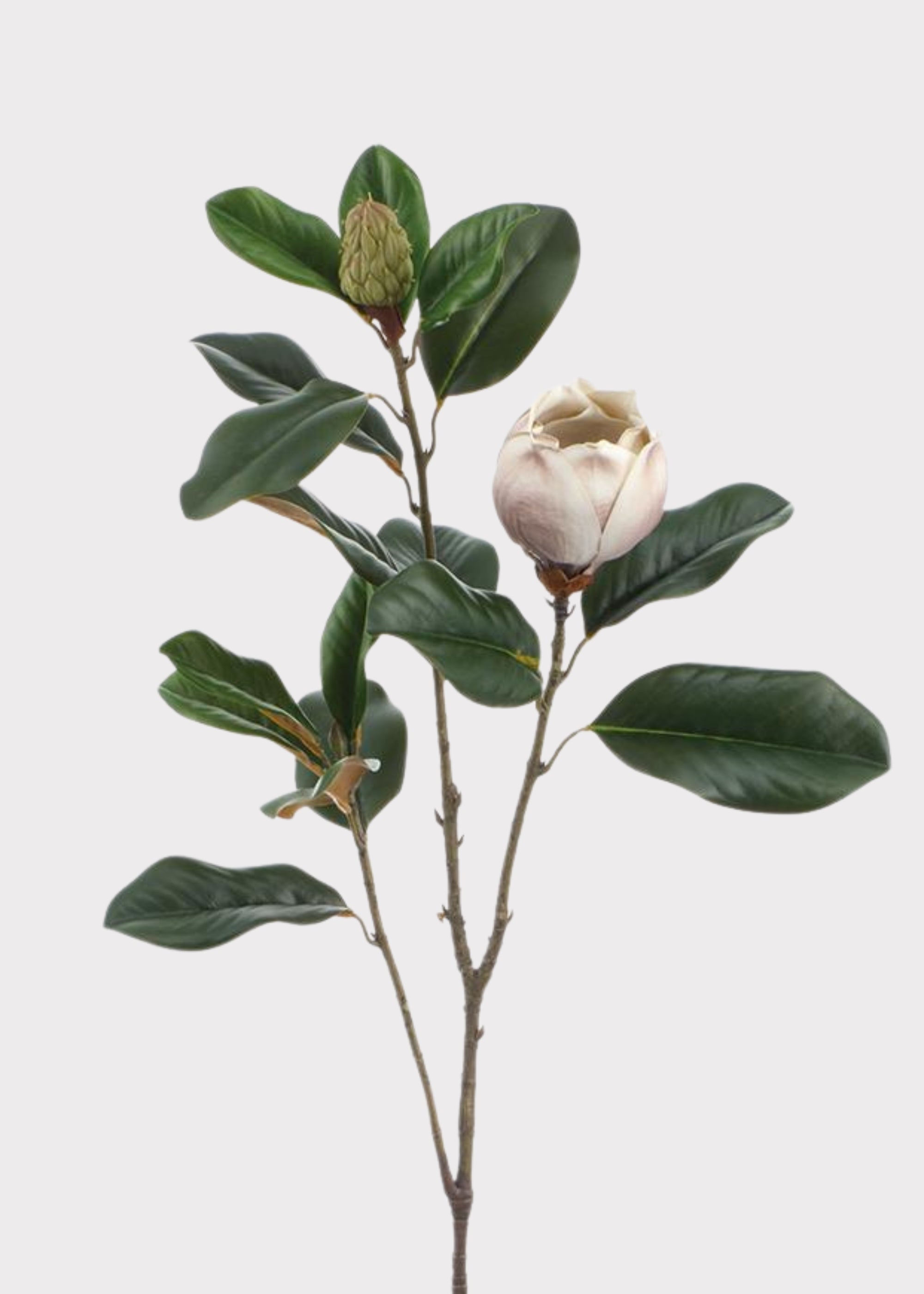 Beige and Taupe Fake Blooming Magnolia Flower Branch - 42"
