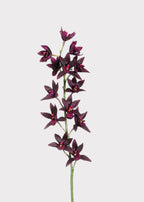 Artificial Cymbidium Orchid in Plum - 38"