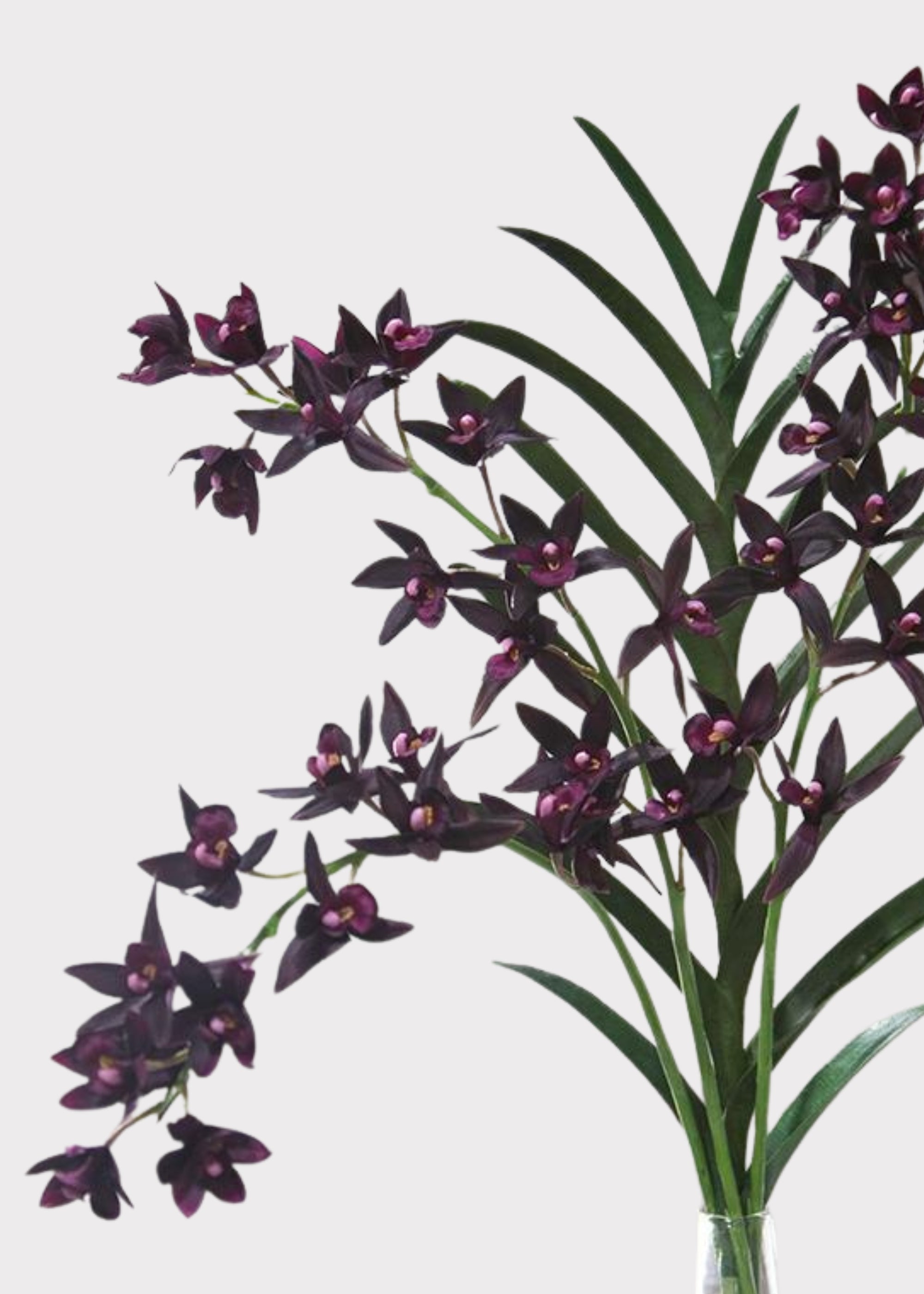 Artificial Cymbidium Orchid in Plum - 38"