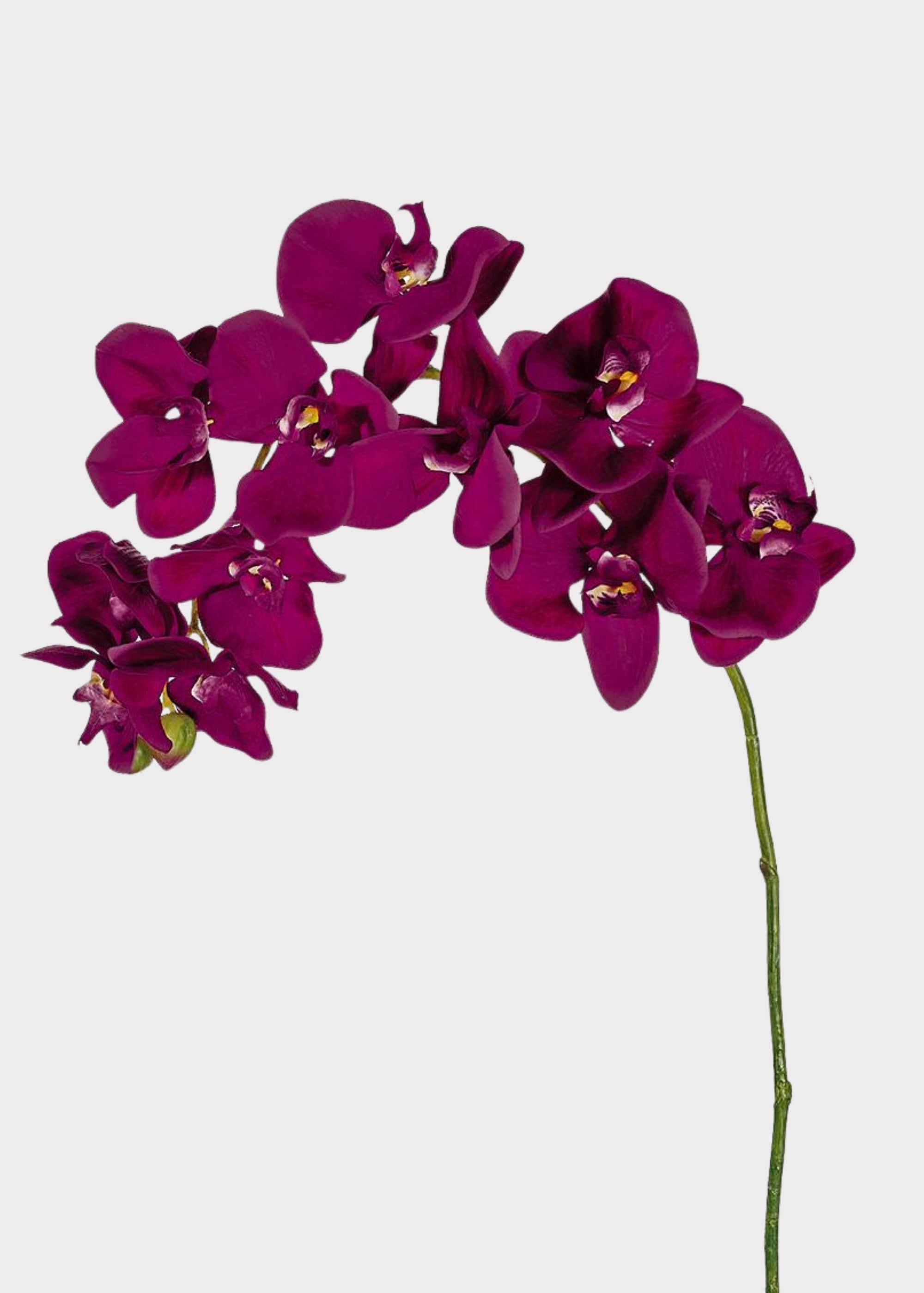 Violet Fuchsia Faux Phalaenopsis Orchid - 37"