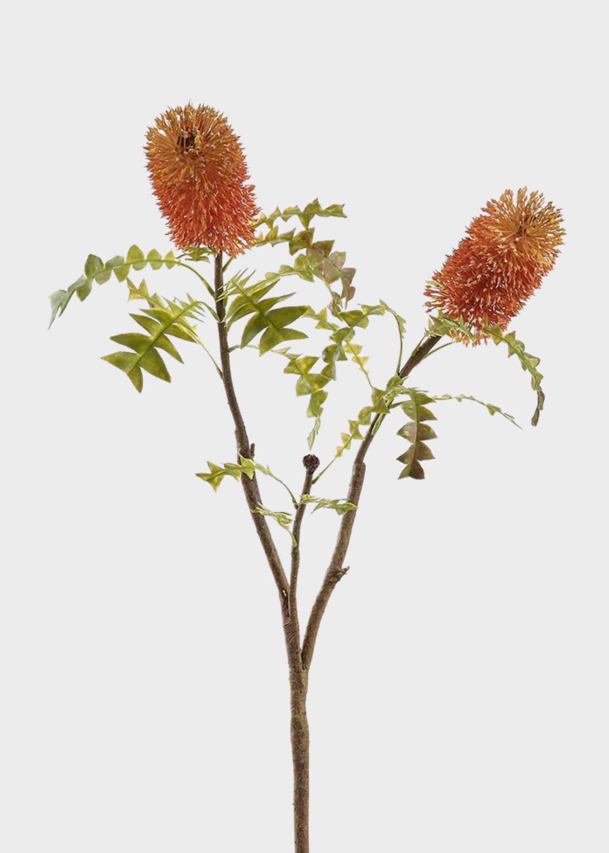 Coral Orange Fake Bottle Brush Protea Tropical Flower Branch - 35"