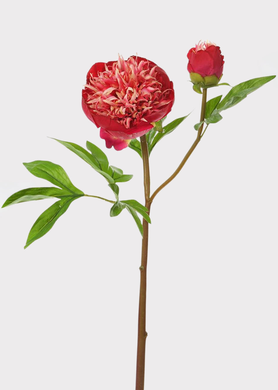 Red and Cream Fake Real Touch Peony with Bud - 26"