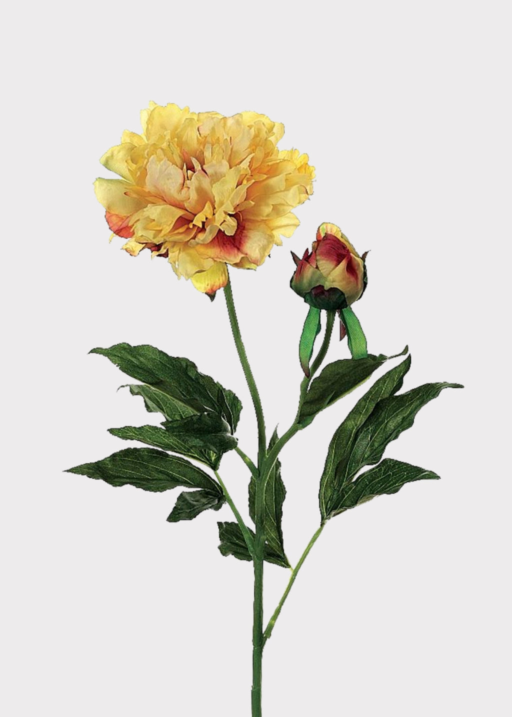 Fake Peony Flower in Golden Sunset - 28"