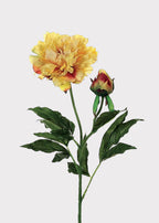 Fake Peony Flower in Golden Sunset - 28"