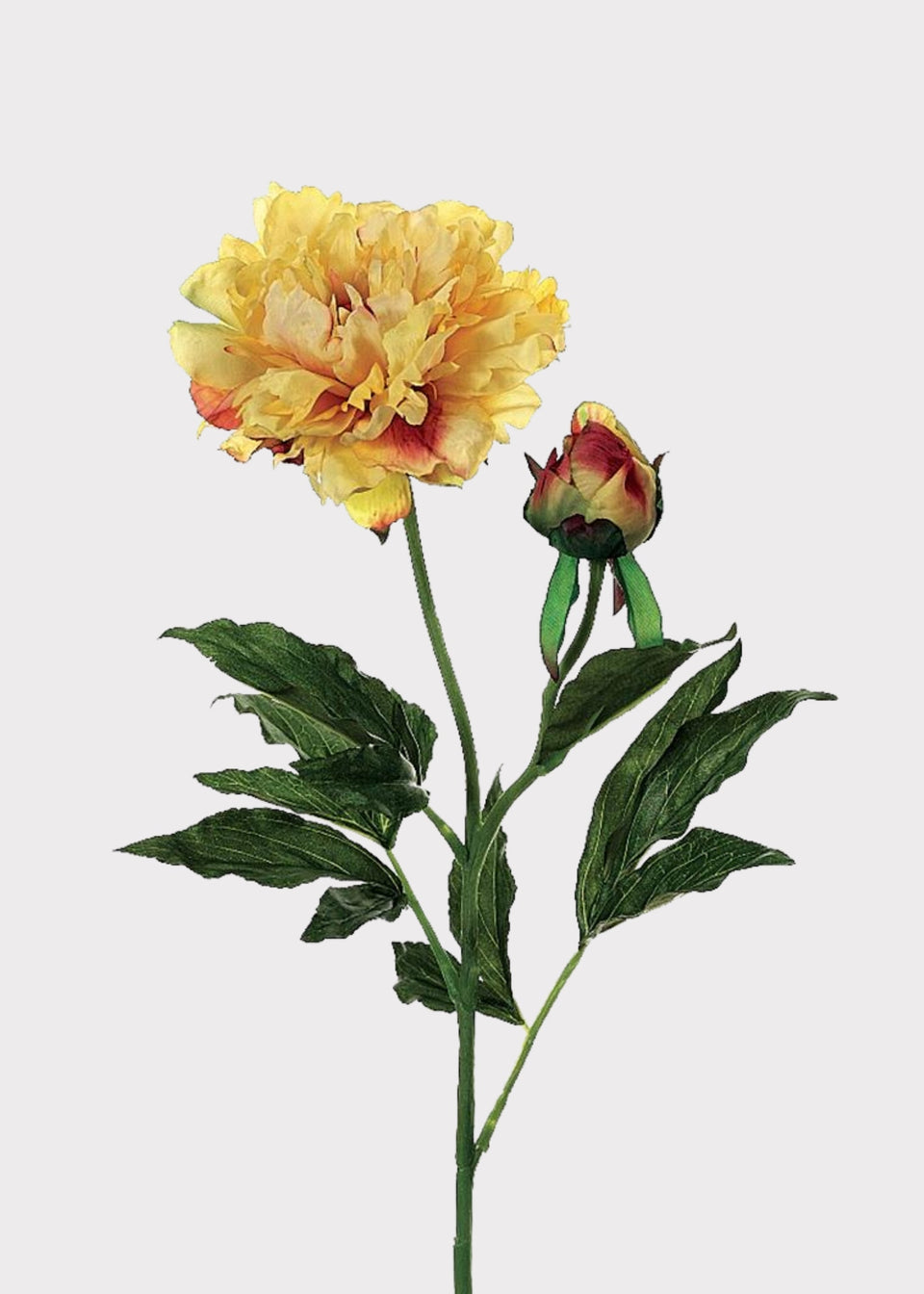 Fake Peony Flower in Golden Sunset - 28"