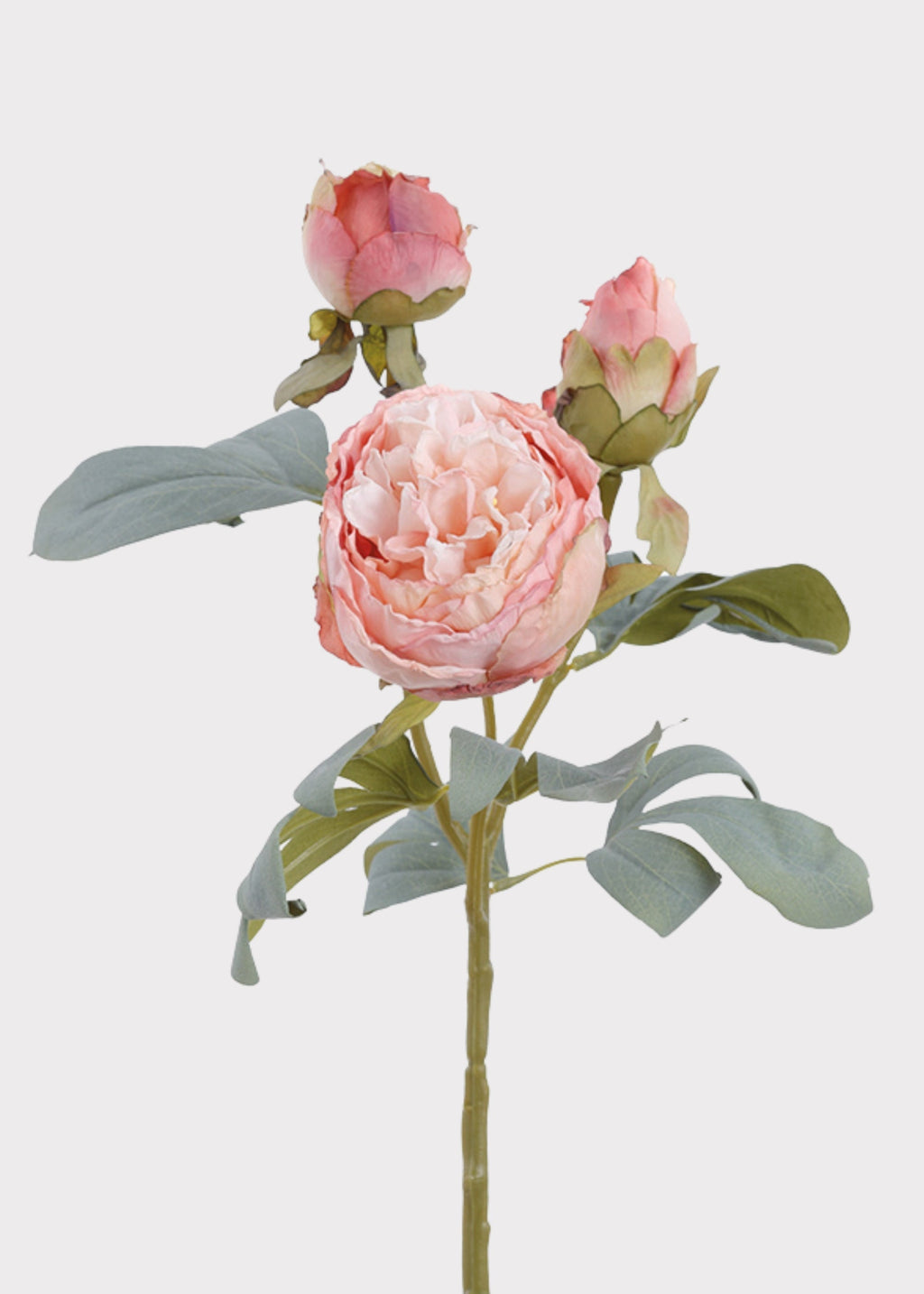 Pink Peony Dried Look Artificial Flower - 24"