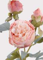 Pink Peony Dried Look Artificial Flower - 24"