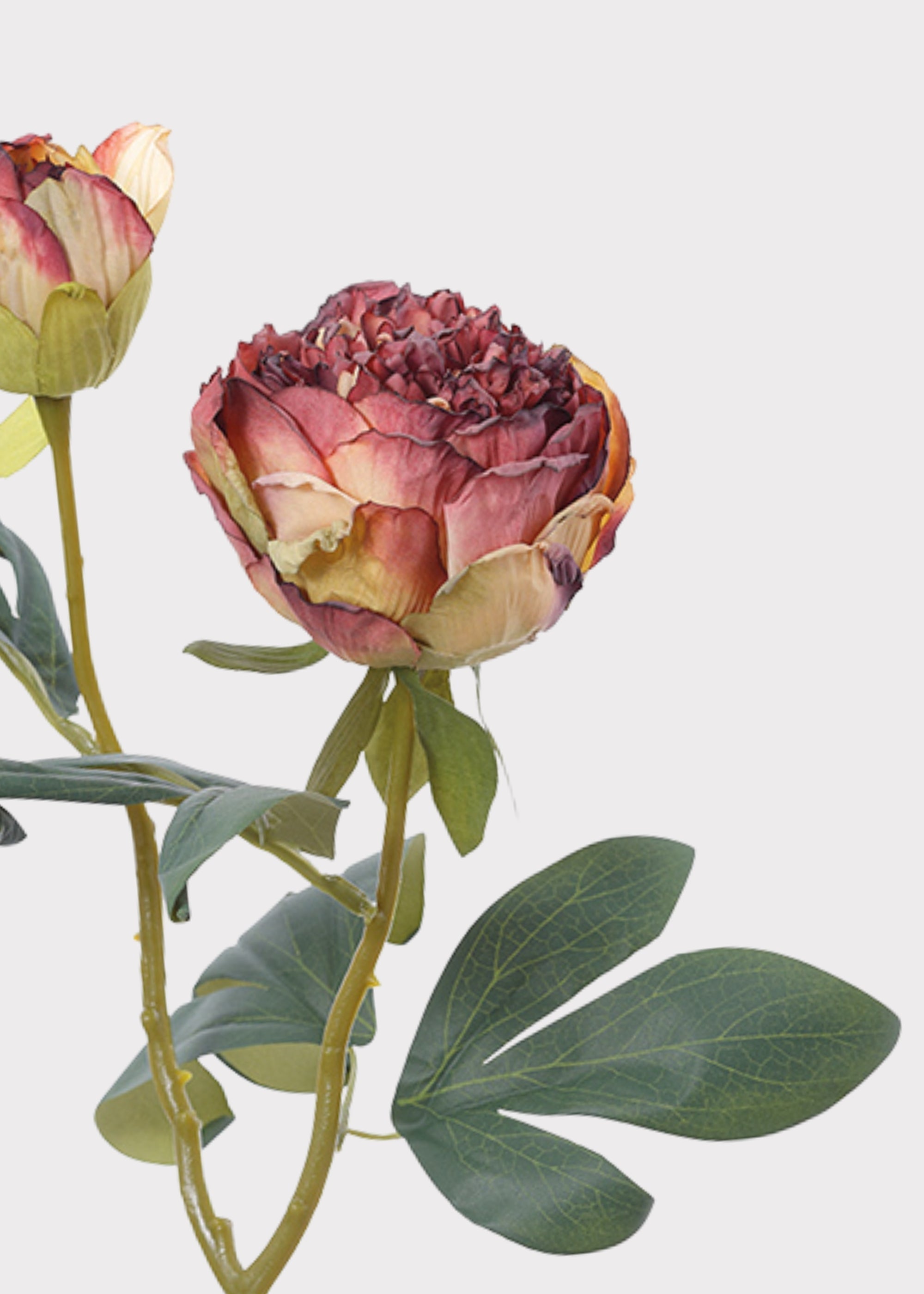 Burgundy Artificial Petite Peony Flower - 19"