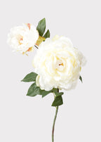 Cream Fake Blooming Peony with Bud - 19.5"
