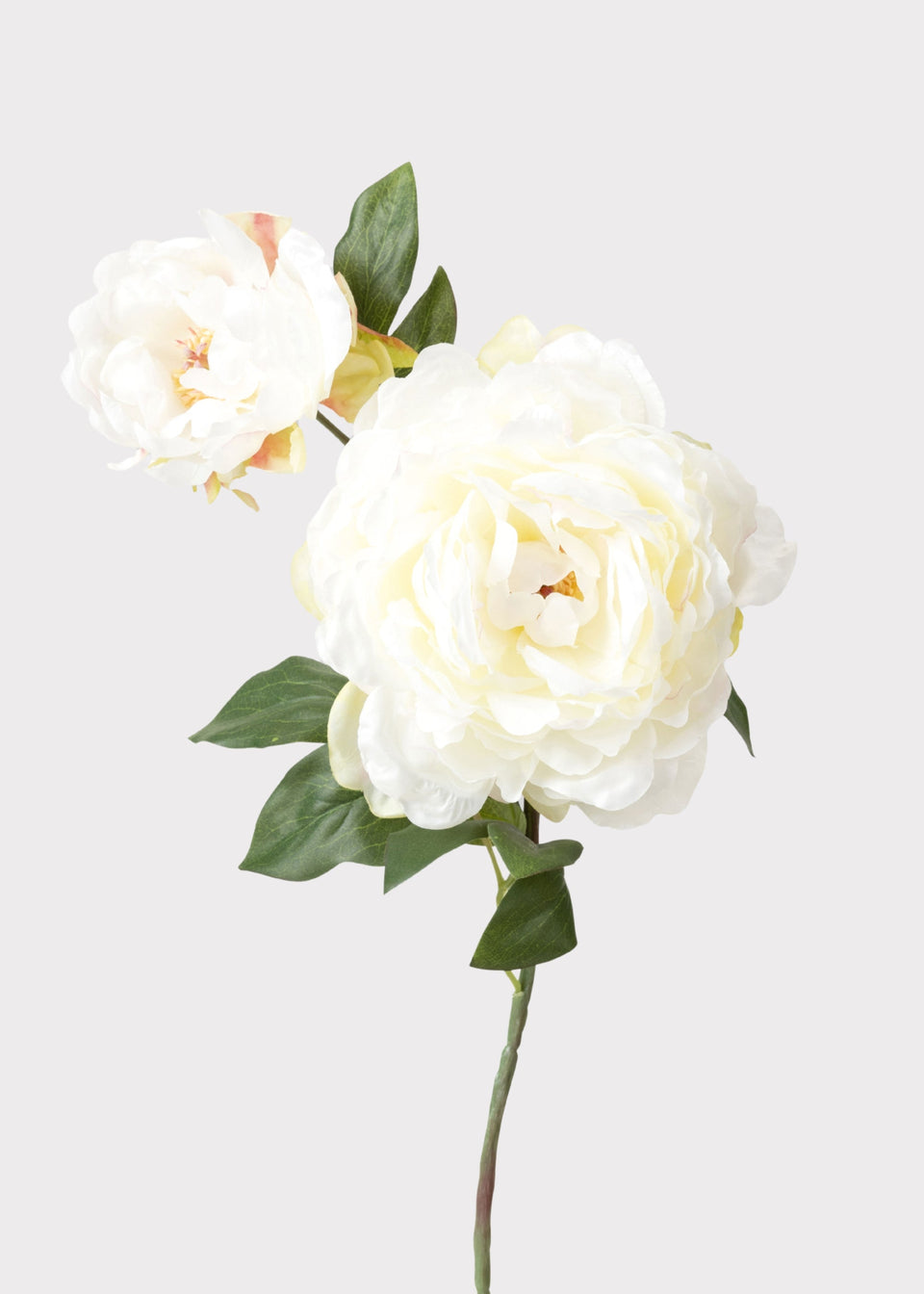 Cream Fake Blooming Peony with Bud - 19.5"