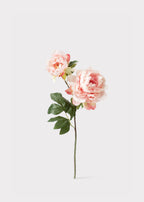 Pink Artificial Blooming Peony with Bud - 19.5"