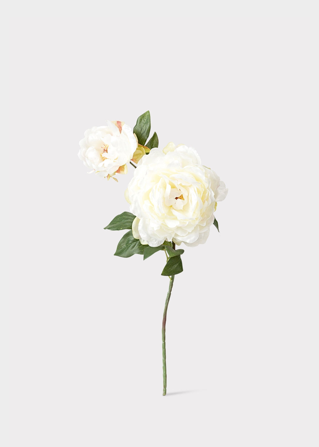 Cream Fake Blooming Peony with Bud - 19.5"